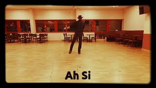 Ah Si  Line Dance  Short Demo [upl. by Akibma]