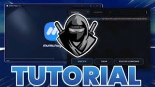 Tutorial on how to get delta executer in PC [upl. by Ardie]