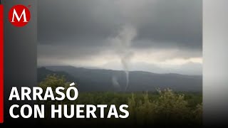 En Michoacán reportan formación de tornado en las faldas del volcán Paricutín [upl. by Robbie]