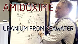 Amidoxime  Harvesting Uranium Dications from Seawater  Dr Stephen Boyd  TEAC12 [upl. by Cusick]