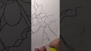 Lotus 1 part f “Drawn From Nature  Lotus” a Kickstarter Make100 project coming in January 2025 [upl. by Nosak]