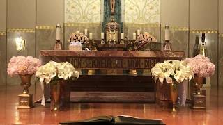 Ste Rose de Lima Parish Trinity Sunday Mass [upl. by Aronle]