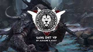 Alkaline X Acast  Gang Shit VIP [upl. by Imiaj774]