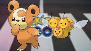 ✨CombeeTeddiursa Spotlight Hour✨ Shiny Luck Pokemon Go pokemon pokemongo pokémongo [upl. by Delcine]