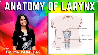 Anatomy of Larynx  Cartilages Membranes and Ligaments Joints [upl. by Yelsnit628]