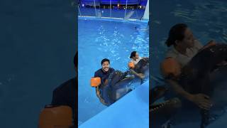 ডলফিনের সাথে রাকিব রিতু সাঁতার কাটছে 😍  Swim With Dolphins 🐬 shorta [upl. by Nannette]