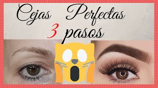 Cejas PERFECTAS paso A paso  Como hacer CEJAS perfectas en 3 pasos FACIL😮👏🎉💋💄 Técnica ACTUALIZADA [upl. by Aleel]