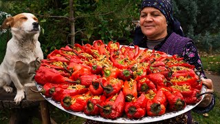 From Garden to Plate  Traditional Stuffed Bell Peppers [upl. by Melvena338]