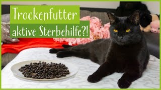 quotTrockenfutter ist aktive Sterbehilfe für Katzenquot  Stimmts [upl. by Sobel]