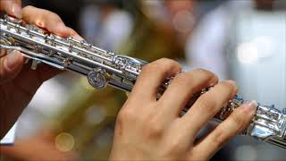 Happy Flute Ringtone  Ringtones for Android  Instrumental Ringtones [upl. by Marpet868]