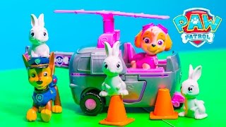 PAW PATROL Paw Patrol Skye  Chase Animal Rescue a Paw Patrol Video Toy Unboxing [upl. by Libove509]