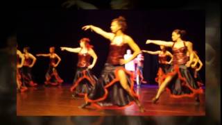 quotLe Spectacle Aciduléquot FIVA 2014 [upl. by Reemas]