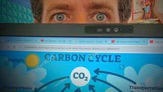 IB Biology carbon cycle Markscheme hack [upl. by Teresita932]