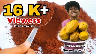 Homemade Cocoa Powder  Natural Cocoa Powder at Home [upl. by Geanine138]