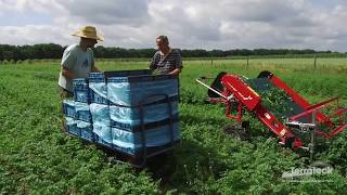 Terrateck  Récolteuse électrique de jeunes pousses et plantes aromatiques [upl. by Millur]