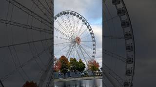 Montreal quebec canada shorts travel fall autumn [upl. by Haiasi]