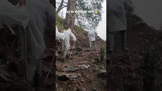 way to मदमहेश्वर धाम  trekking madmaheshwar trending trekking t shortsfeed shorts viral trek [upl. by Aelem]