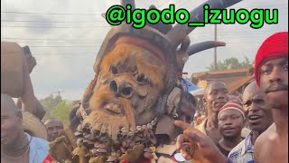 I was live at Ikeji Arondizuogu 2023 ikeji arondizuogu festival cultures tradition [upl. by Apfel]