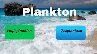 Difference between Zooplankton and Phytoplankton [upl. by Aitnas]