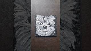 Paws to Canvas Shih Tzu Portrait in Black and white acrylicpainting paintingstyles shihtzu [upl. by Latsyk990]