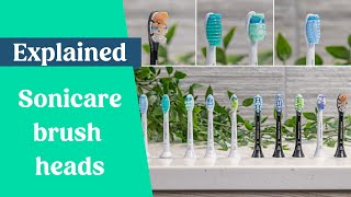 Best Sonicare Brush Head Explained 2024 [upl. by Selegna]