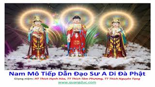 Nam Mô Tiếp Dẫn Đạo Sư A Di Đà Phật [upl. by Abdul]