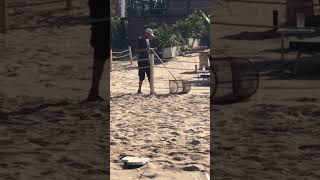 MANUAL CLEANUP AND SAND SIFTING AT THE BEACH love  beach surfing sand beach cleaning [upl. by Iy]