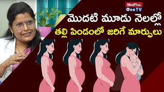 Pregnancy Trimesters Fetal Changes and Safety Tips  DrKSarala MedPlusONETV [upl. by Almeria923]