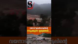 ദുര ന്ത മുഖത്തെ ഞെട്ടിക്കുന്ന ദൃശ്യം  wayanad land slide  chooral mala  heavy rain [upl. by Nohpets269]