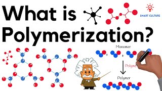 What is Polymerization [upl. by Netsrak]