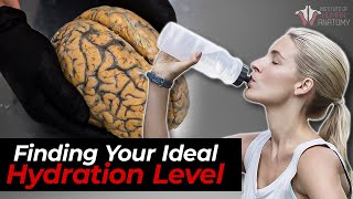 The Science of Hydration How Much Water You Really Need [upl. by Tzong]