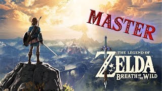 Best of Zelda Breath of the Wild  Master Mode [upl. by Sanford]