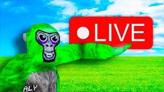 GORILLA TAG SHORTS STREAM MinigamesChill lROAD TO 30Kl [upl. by Tolliver]