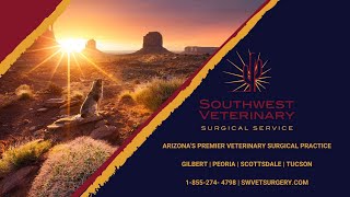 Southwest Veterinary Surgical Service [upl. by Ahsiaa769]