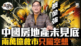 蔡金強深度分析2024中國經濟前景 兩萬億救市係幻覺 恒大重組無意思 房地產未插完中植爆煲蒸發社會財富 加劇消費降級降準通縮 習近平騰訊阿里巴巴港股A股恒指 內房 經一拆局 [upl. by Adnael817]