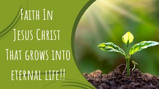 How Faith In Jesus Christ Can Help Us Gain Eternal Life [upl. by Baptlsta954]