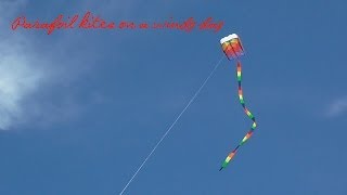 Parafoil kites on a windy day [upl. by Winer]