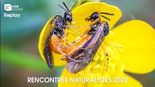 Rencontres naturalistes d’ÎledeFrance 2022 [upl. by Anerys]