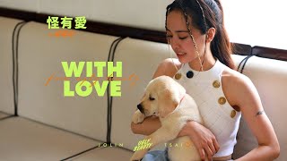 蔡依林Ugly Beauty Finale 咸陽演唱會 怪有愛 西安陽光使者導盲犬學校 [upl. by Davidson]