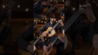 Harry Potter How many guitars does it take to play one celesta solo [upl. by Akilam]