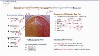 Why MacConkey Agar is considered as both Selective and Differential Bacterial growth media [upl. by Saltsman266]