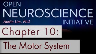 quotMotor Systemquot Chapter 10  Open Neuroscience Initiative free audio textbook [upl. by Nwavahs]