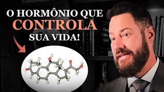 TUDO sobre o CORTISOL Estresse energia e imunidade [upl. by Stilla]