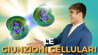 Le GIUNZIONI CELLULARI in poco più di 6 minuti  BIOLOGIA FACILE [upl. by Rafaela]