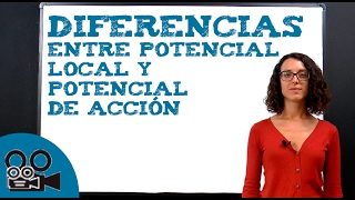 Diferencias entre potencial local y potencial de acción [upl. by Otreblif]