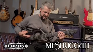 Two Guitars One Amp Fortin MESHUGGAH [upl. by Ibib]