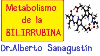 METABOLISMO DE LA BILIRRUBINA Fisiología [upl. by Irrehc]