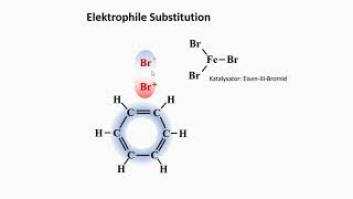 Elektrophile Substitution [upl. by Anahgem]