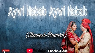 Aywi Habab Aywi Habab SlowedReverb  BodoLee  New Bodo Lofi Song 2024 bodolee [upl. by Danforth958]