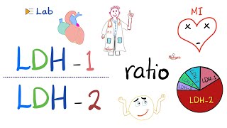 LDH1 to LDH2 Ratio and the flipped LDH  Lactate Dehydrogenase and Heart Attacks ❤️‍🩹 [upl. by Anurb]